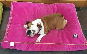 Mr Barker dog bed cushion bed pet bed available in 2 sizes and 3 colours